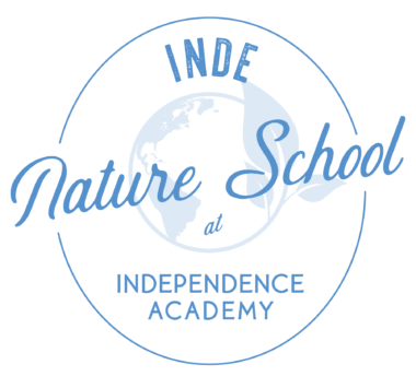 INS-Logo-Blue-WEB